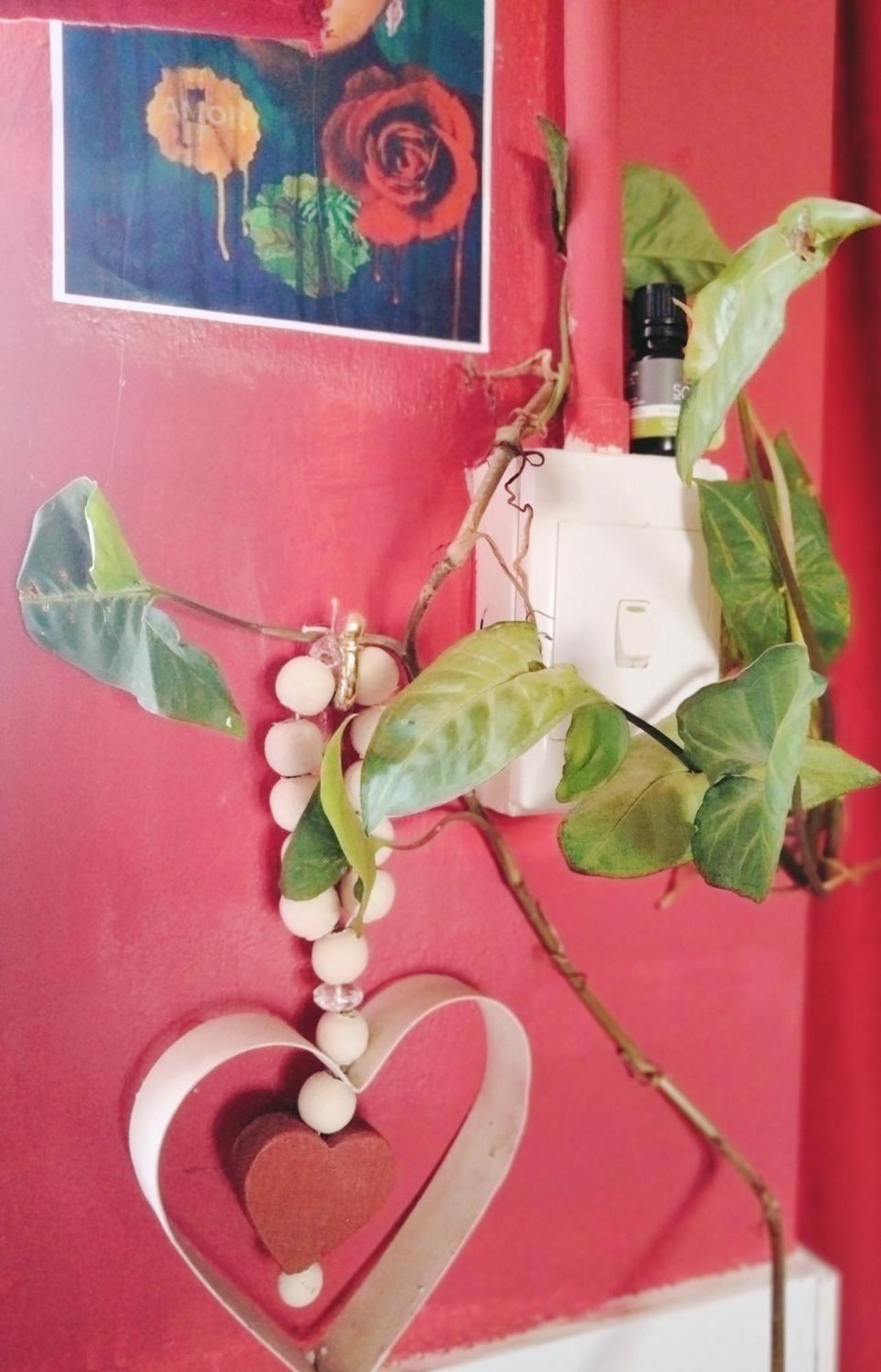 Apartamento Addo'S Secret Backdoor Puerto Elizabeth Exterior foto